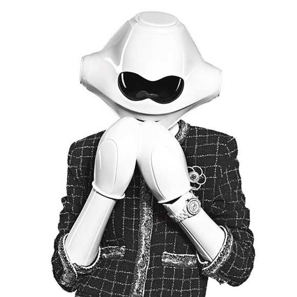 Meet your Posher, Grayson - Picture 1 of 1